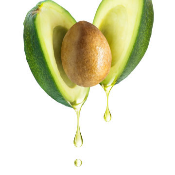 アボガド油